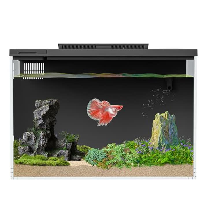 ERAARK 4 Gallon Betta Fish Tank